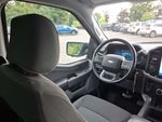 2024 F-150 Thumbnail 5
