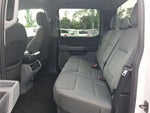 2024 F-150 Thumbnail 15