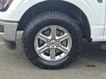 2024 F-150 Thumbnail 18