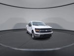 2024 F-150 Thumbnail 22