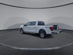 2024 F-150 Thumbnail 24