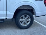 2024 F-150 Thumbnail 9