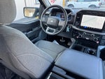 2024 F-150 Thumbnail 12