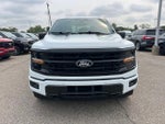 2024 F-150 Thumbnail 2