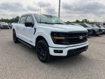 2024 F-150 Thumbnail 3