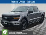 2024 F-150 Thumbnail 6