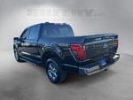 2024 F-150 Thumbnail 13