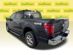 2024 F-150 Thumbnail 11