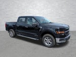 2024 F-150 Thumbnail 2