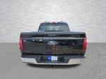 2024 F-150 Thumbnail 6