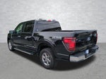 2024 F-150 Thumbnail 7