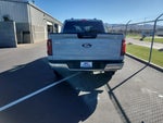 2024 F-150 Thumbnail 7