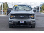 2024 F-150 Thumbnail 8
