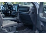 2024 F-150 Thumbnail 10