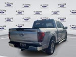 2024 F-150 Thumbnail 5