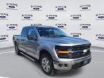 2024 F-150 Thumbnail 7