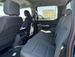 2024 F-150 Thumbnail 8