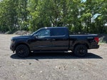 2024 F-150 Thumbnail 6