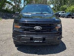 2024 F-150 Thumbnail 8