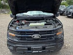 2024 F-150 Thumbnail 14