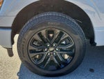 2024 F-150 Thumbnail 8