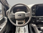2024 F-150 Thumbnail 13
