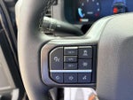 2024 F-150 Thumbnail 14