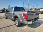 2024 F-150 Thumbnail 4