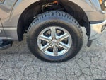 2024 F-150 Thumbnail 6
