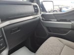 2025 F-150 Thumbnail 20