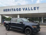 2025 F-150 Thumbnail 1