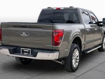 2025 F-150 Thumbnail 12