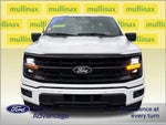 2025 F-150 Thumbnail 11