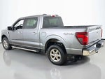 2025 F-150 Thumbnail 5