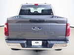 2025 F-150 Thumbnail 8
