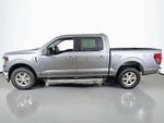 2025 F-150 Thumbnail 9