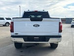 2025 F-150 Thumbnail 7