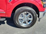 2025 F-150 Thumbnail 15