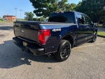 2025 F-150 Thumbnail 11