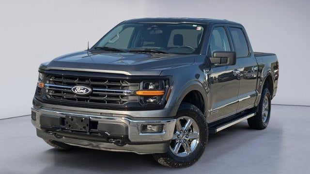 Preowned 2025 Ford F-150 XLT for Sale