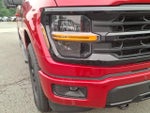 2025 F-150 Thumbnail 9