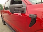 2025 F-150 Thumbnail 10