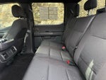 2024 F-150 Thumbnail 11