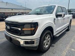 2024 F-150 Thumbnail 1