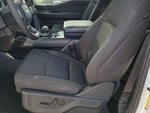 2024 F-150 Thumbnail 6
