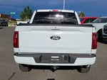 2024 F-150 Thumbnail 10