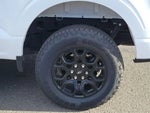 2024 F-150 Thumbnail 15
