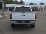 2024 F-150 Thumbnail 5