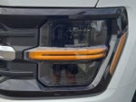 2024 F-150 Thumbnail 9