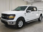2024 F-150 Thumbnail 4